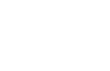 SSIP logo