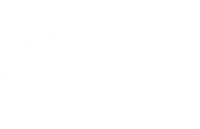 SSIP - white